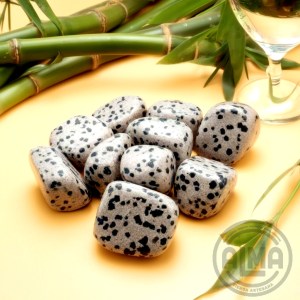 Jaspe dálmata grupo con bambú y logo